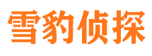 大名寻人公司